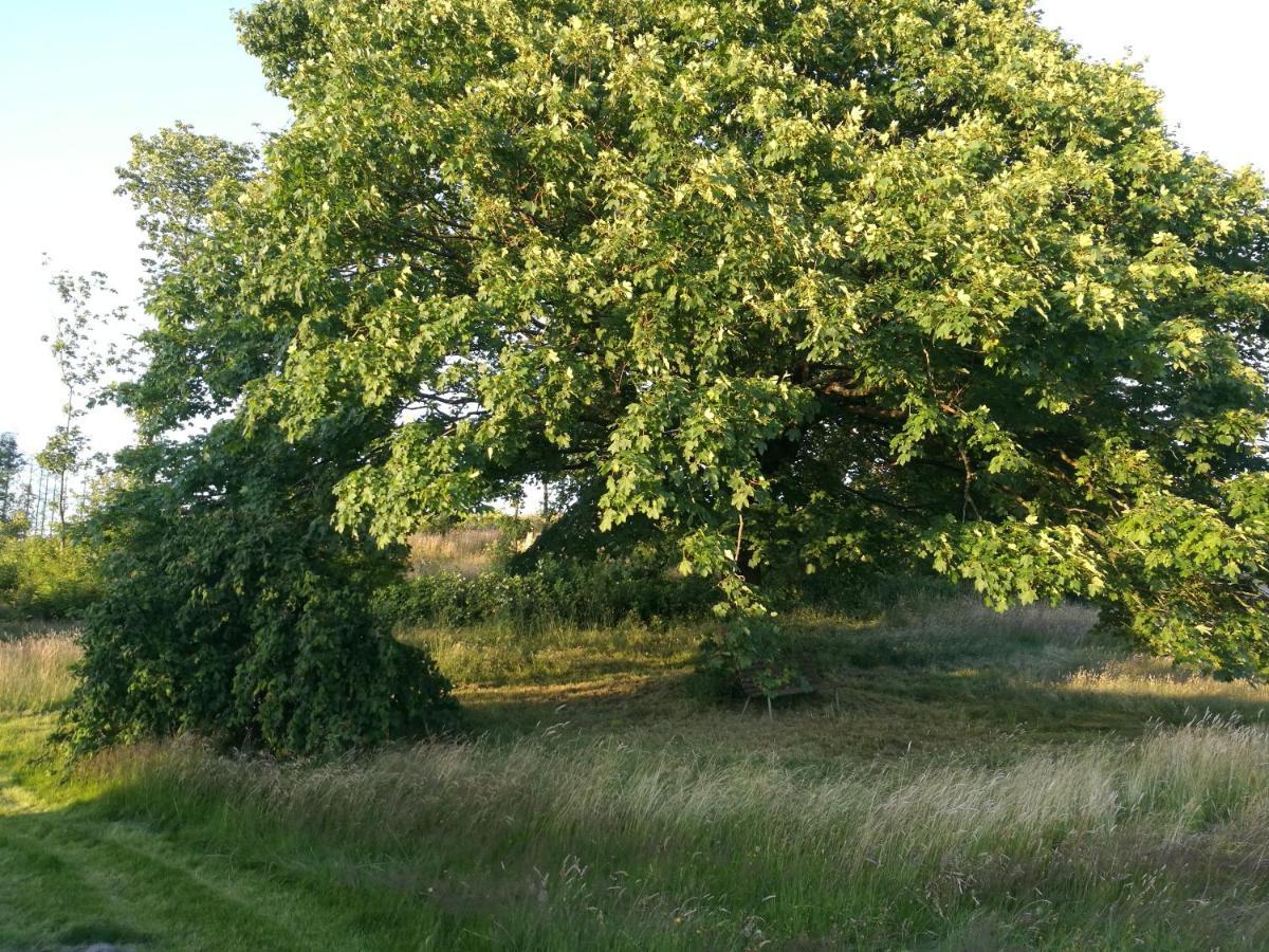 Haervejsly - Perfekt Familiebase Til Oplevelse Af Sydjylland Villa Give Kültér fotó